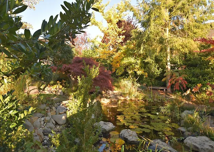 Apartman In Am Edersee *